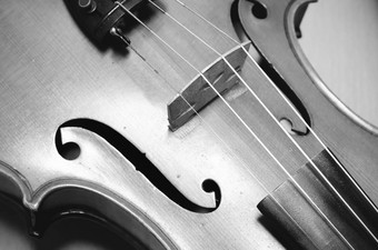 小提琴黑色的白色颜色语气风格