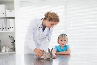 兽医显示年轻的女孩兔子兔子
