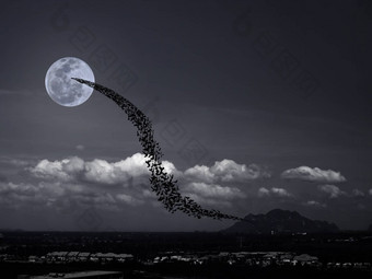 蝙蝠完整的月亮山
