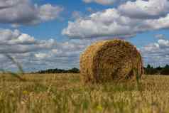 农业稻草聚集捆场收获天空