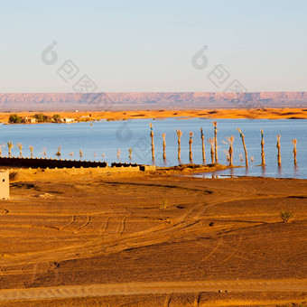 阳光湖黄色的沙漠摩洛哥沙子沙丘
