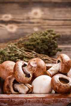 棕色（的）蘑菇
