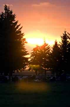 日落色彩斑斓的墓园