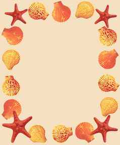 装饰框架海星贝壳