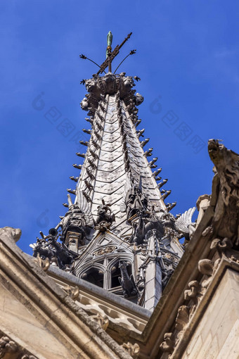 大教堂尖塔雕像夜行神龙圣薛潘巴黎法国