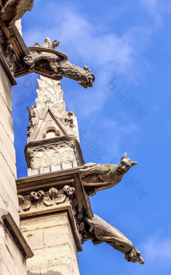 大教堂尖塔雕像夜行神龙圣薛潘巴黎法国