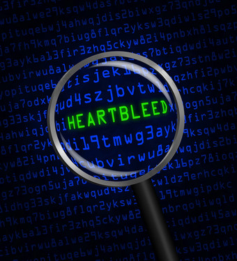 心脏出血揭示了电脑代码放大玻璃
