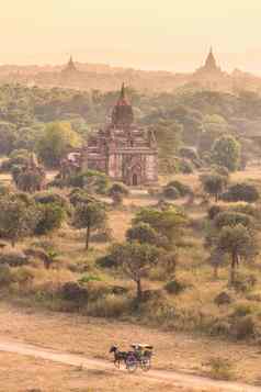 寺庙蒲甘缅甸缅甸亚洲