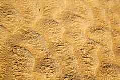 棕色（的）干沙子撒哈拉沙漠沙漠