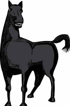 单黑色的马