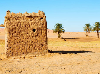 撒哈拉沙漠<strong>非</strong>洲摩洛哥棕榈<strong>现场</strong>施工
