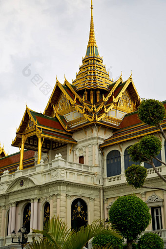 泰国亚洲曼谷雨寺庙摘要植物树