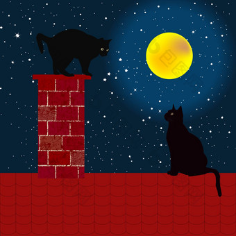 黑色的<strong>猫</strong>屋顶