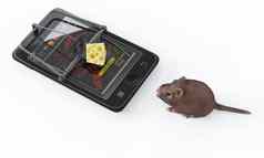 虚拟奶酪智能手机捕鼠器鼠标广告概念