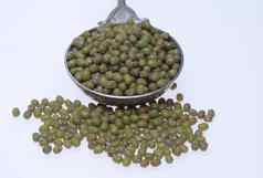 绿豆豆维尼亚辐射型耶路撒冷豆绿豆从