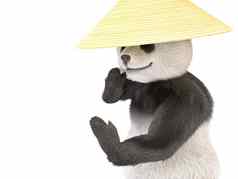 中文快乐的字符熊猫毛茸茸的泰迪