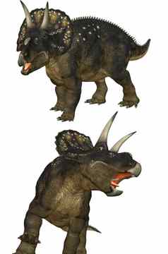 diceratops