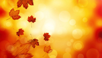 复合图像秋天叶子模式