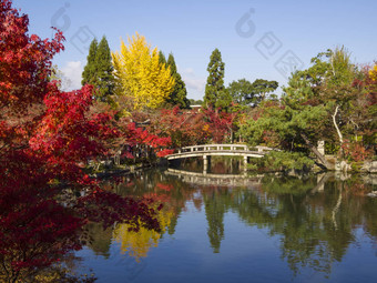 日本花园秋天日本