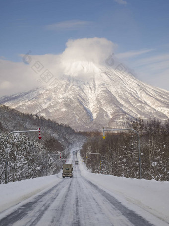 冬天路羊北海道