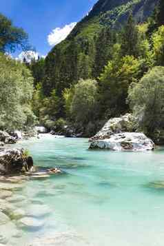 朱利安阿尔卑斯山脉斯洛文尼亚打击严重有组织犯罪署河