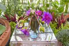 花卉栽培技术粉红色的紫色的莲花花玻璃花瓶