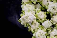 花卉栽培技术白色莲花花花瓶