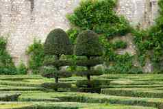 灿烂的装饰花园城堡法国