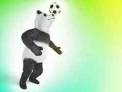 字符马戏团竹子熊巨大的熊猫站传播腿国追逐球鼻子非自愿的令人惊异的动物
