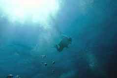 单潜水员海阳光背景蓝色的水