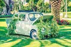 婚礼车绿色花园花叶子