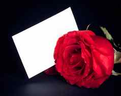 红色的玫瑰空白礼物卡文本黑色的背景