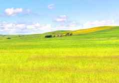 绿色草场景观蓝色的天空春天