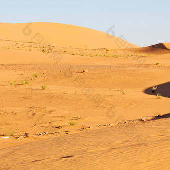 阳光沙漠摩洛哥沙子沙丘