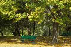 秋天空板凳上公园水平