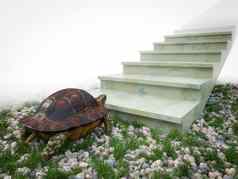 移动乌龟爬楼梯概念背景