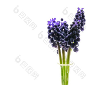 小紫色的花水晶花瓶