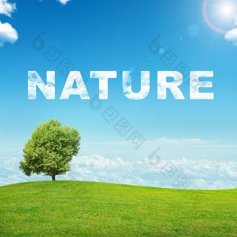 景观自然词