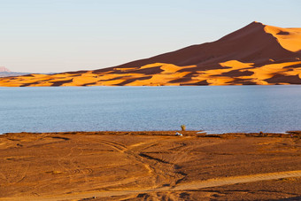 阳光黄色的沙漠沙子沙丘