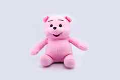 粉红色的泰迪熊孤立的白色背景