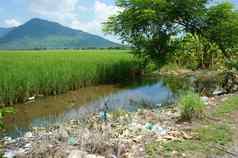 环境问题垃圾填埋场农田被污染的