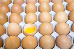 壳牌套管蛋包蛋黄蛋白蛋集团