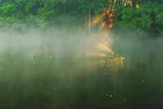 夏天早....雾河水平视图