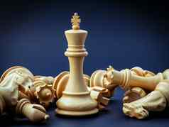 国际象棋概念保存王保存策略