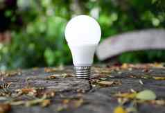 领导灯泡照明技术环保照明