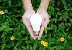 领导灯泡照明技术环保照明