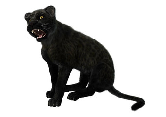 大<strong>猫</strong>黑色的豹