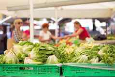 农民的食物市场摊位各种有机蔬菜