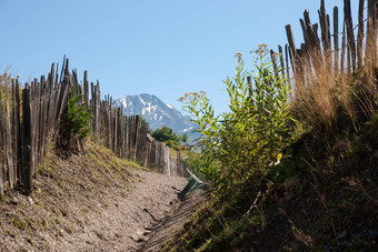 徒步旅行山