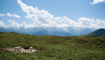 徒步旅行山